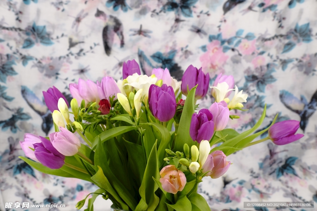 美丽的郁金香鲜花