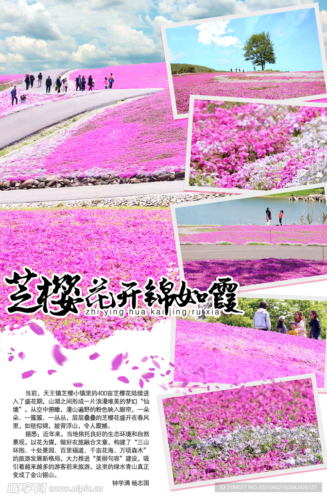 报纸杂志图文排版旅游排版