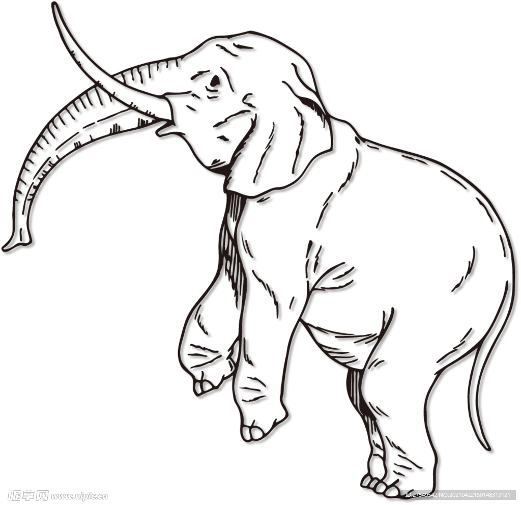 大象 动物 矢量图