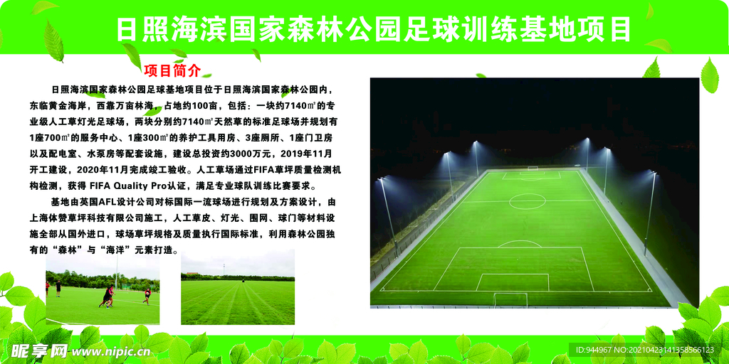 项目基地  蓝色  树叶