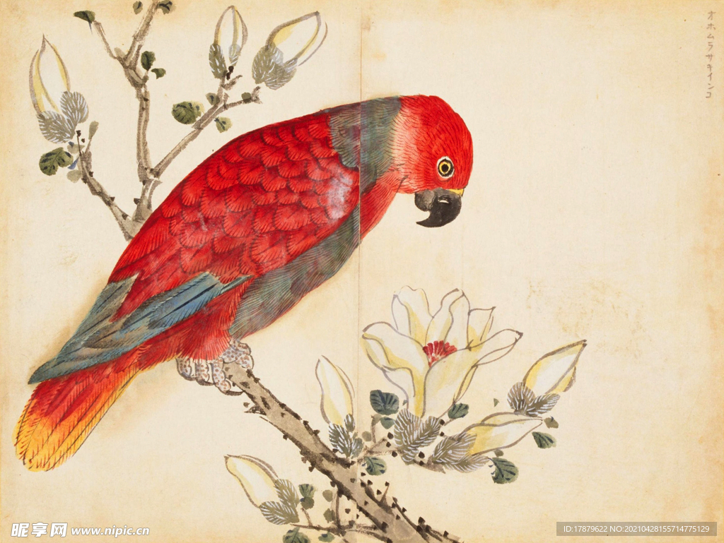 余曾三国画 百花鸟图