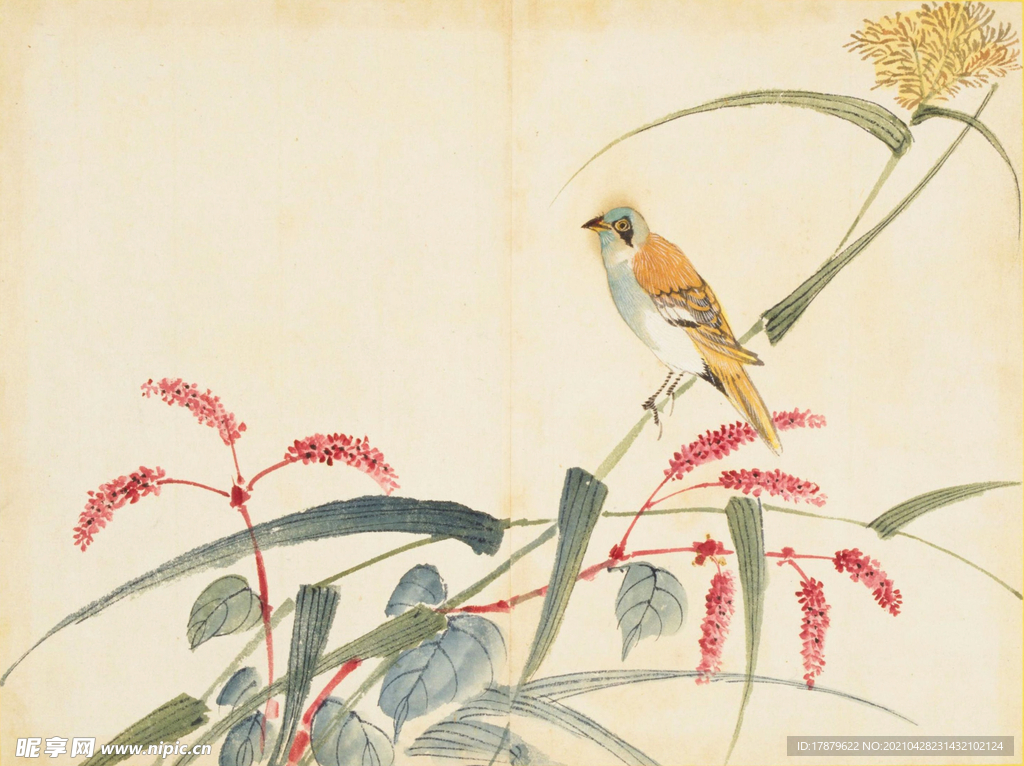 余曾三国画 百花鸟图