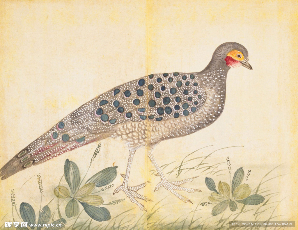 余曾三国画 百花鸟图