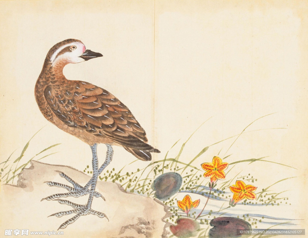 余曾三国画 百花鸟图