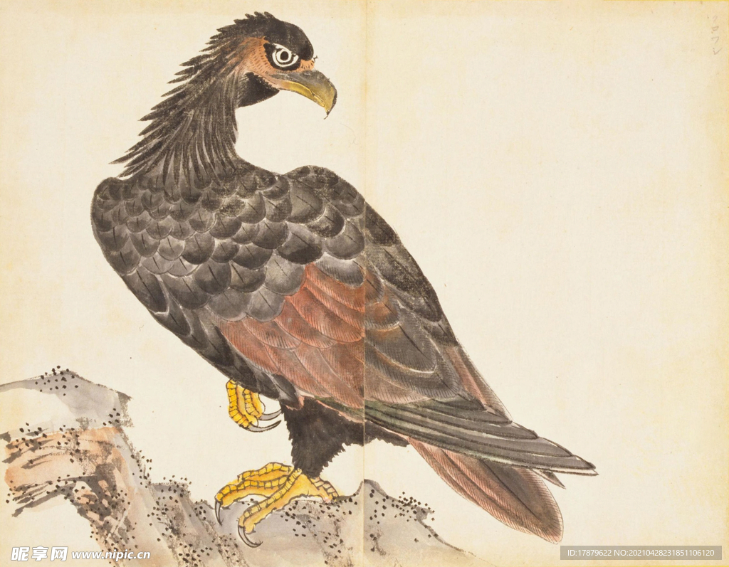 余曾三国画 百花鸟图