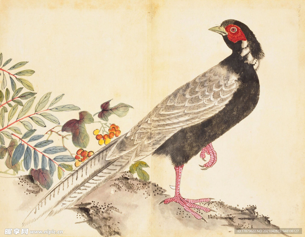 余曾三国画 百花鸟图