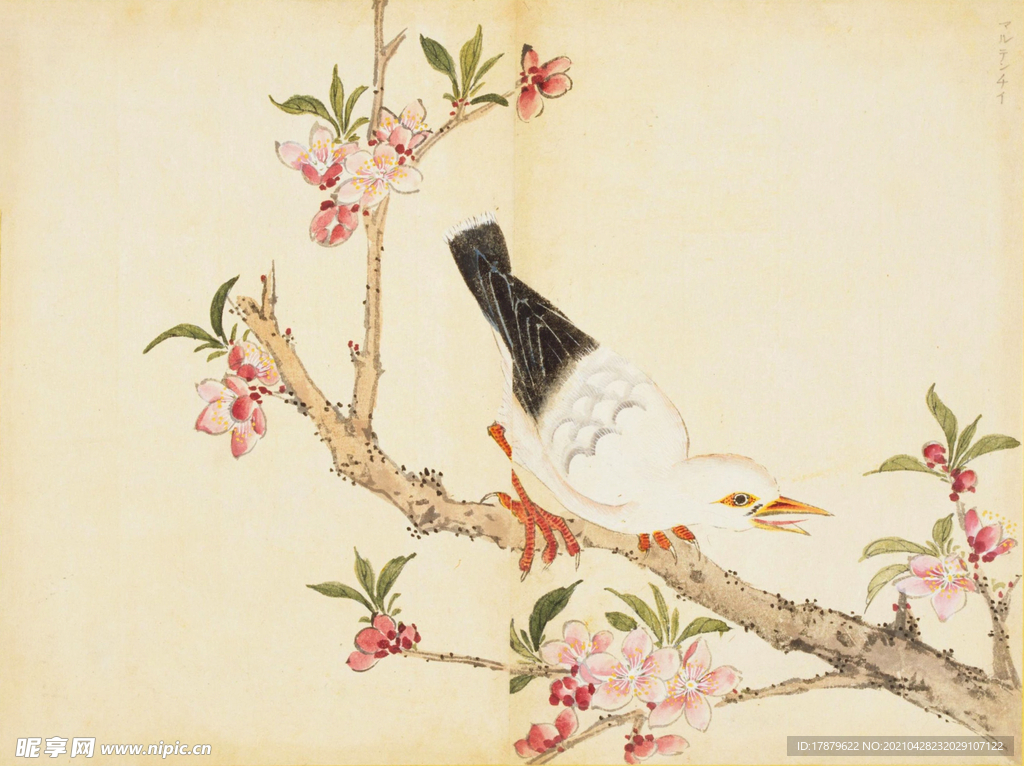 余曾三国画 百花鸟图