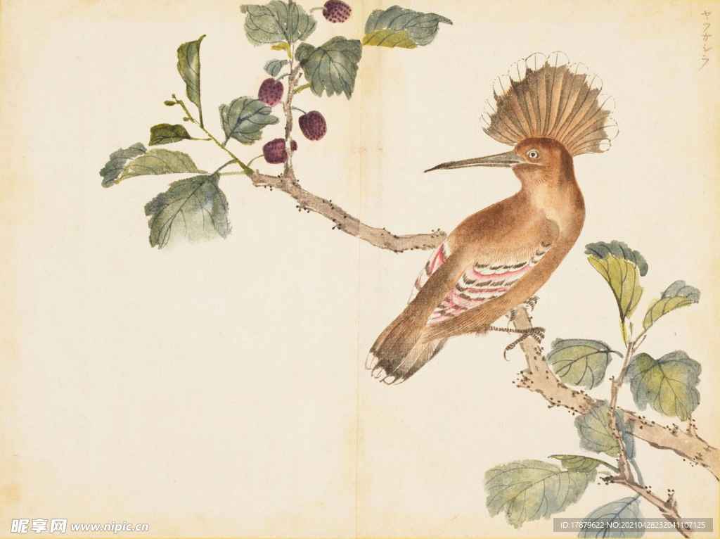 余曾三国画 百花鸟图