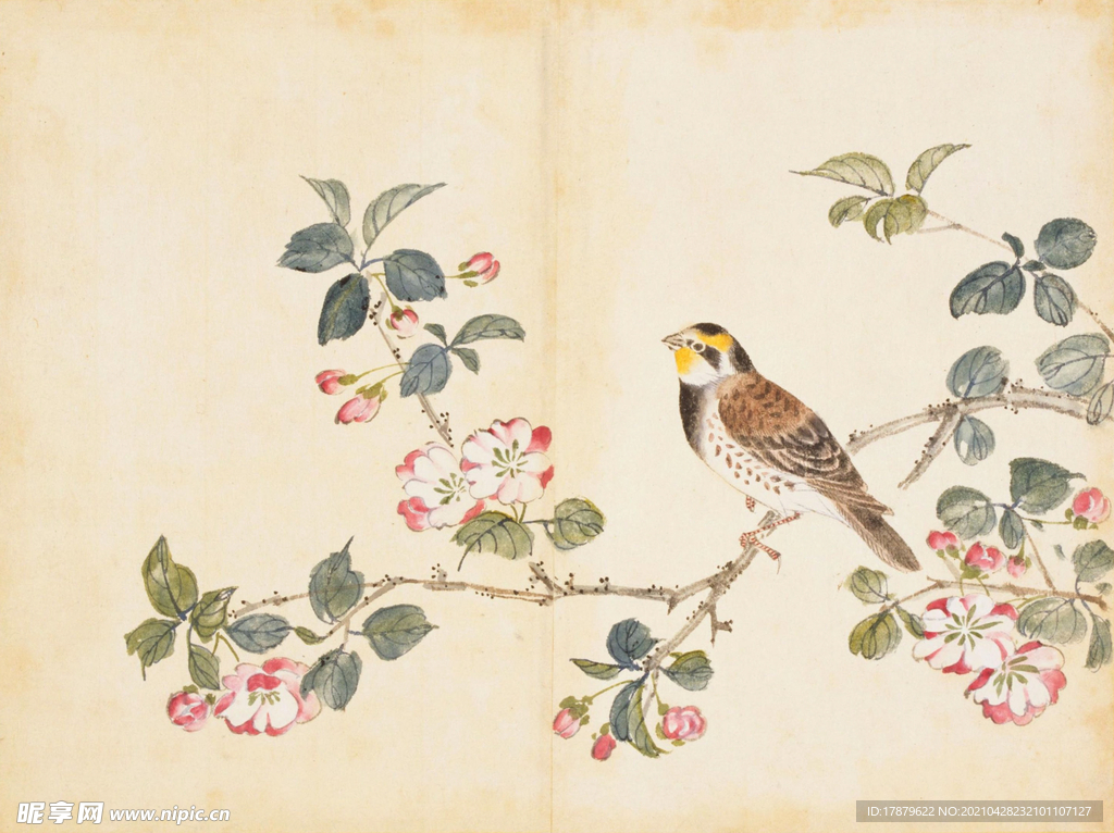 余曾三国画 百花鸟图