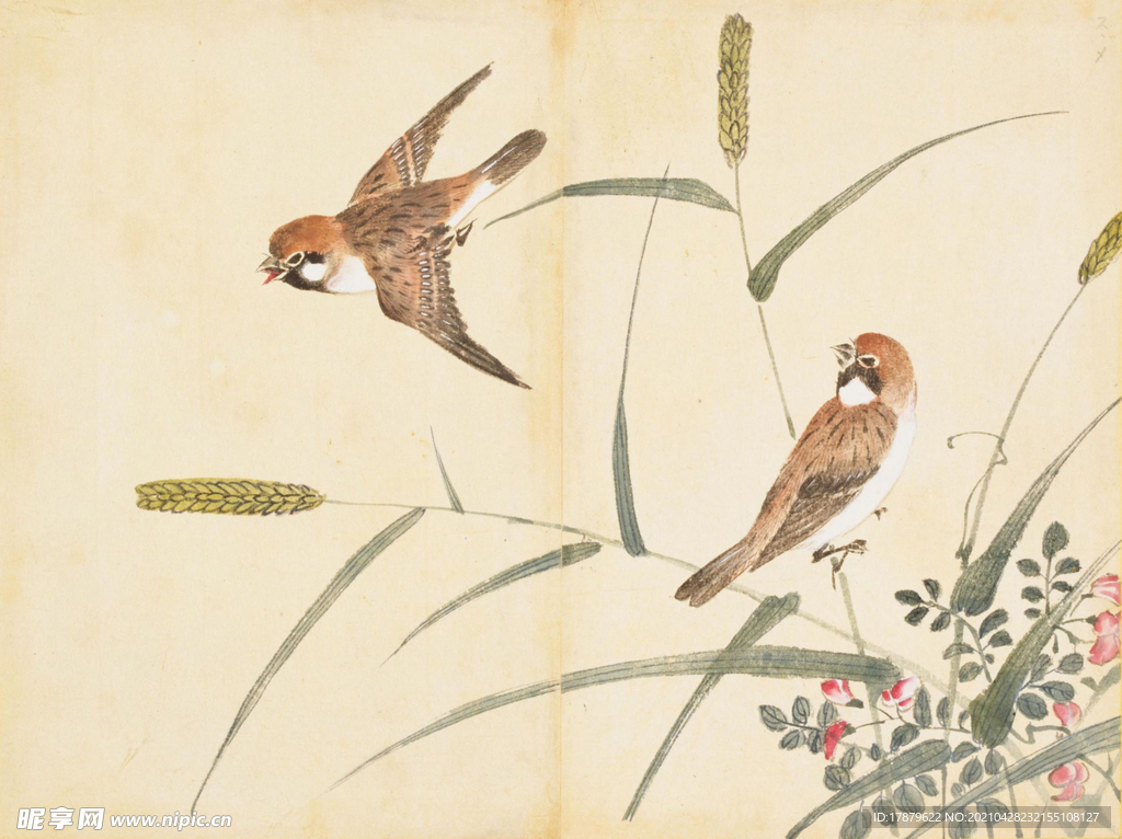 余曾三国画 百花鸟图