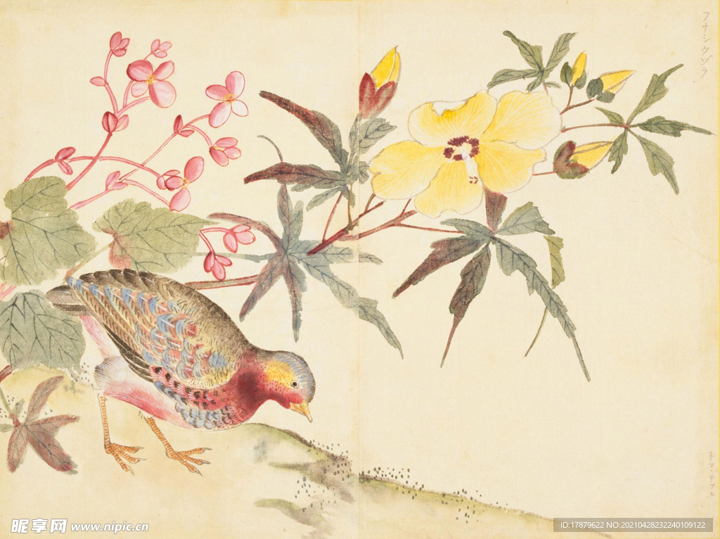 余曾三国画 百花鸟图