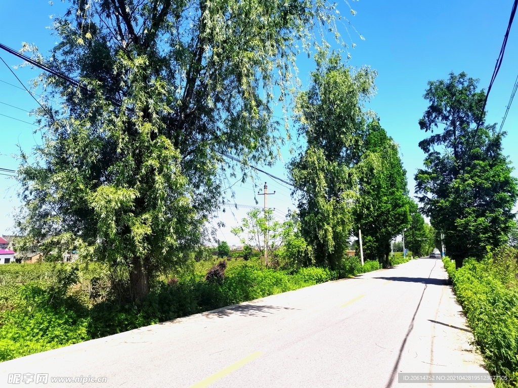 空荡荡的乡村道路