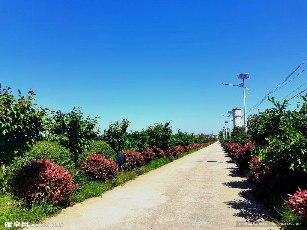 美丽的乡村风景