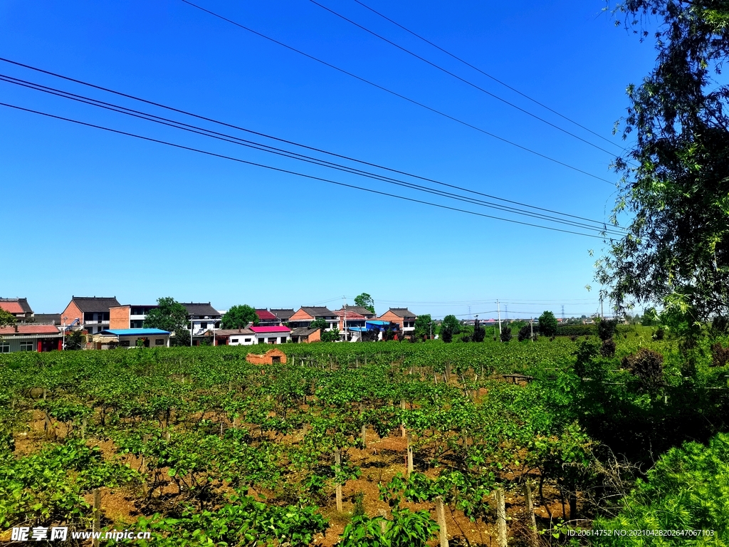 蓝天下的乡村美景