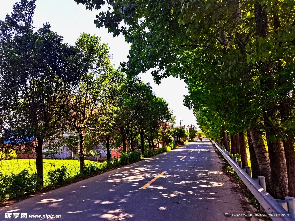 空荡荡的乡村道路