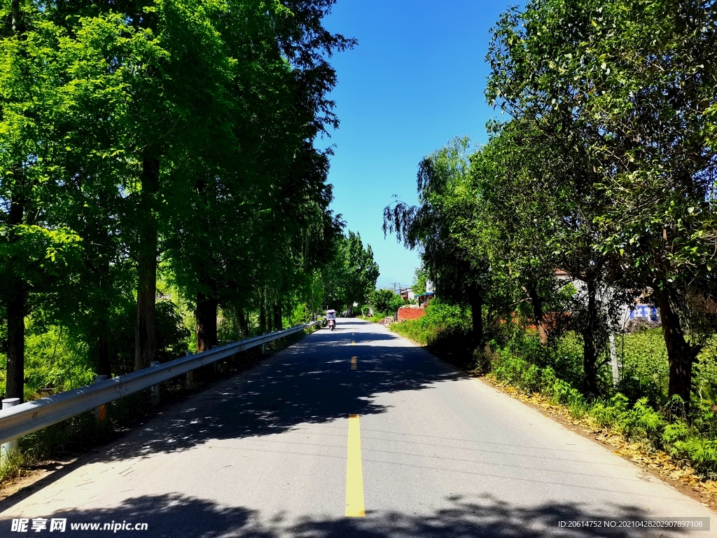 空荡荡的乡村道路风景