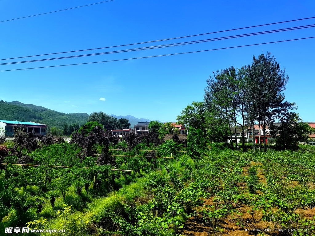 蓝天下的乡村美景