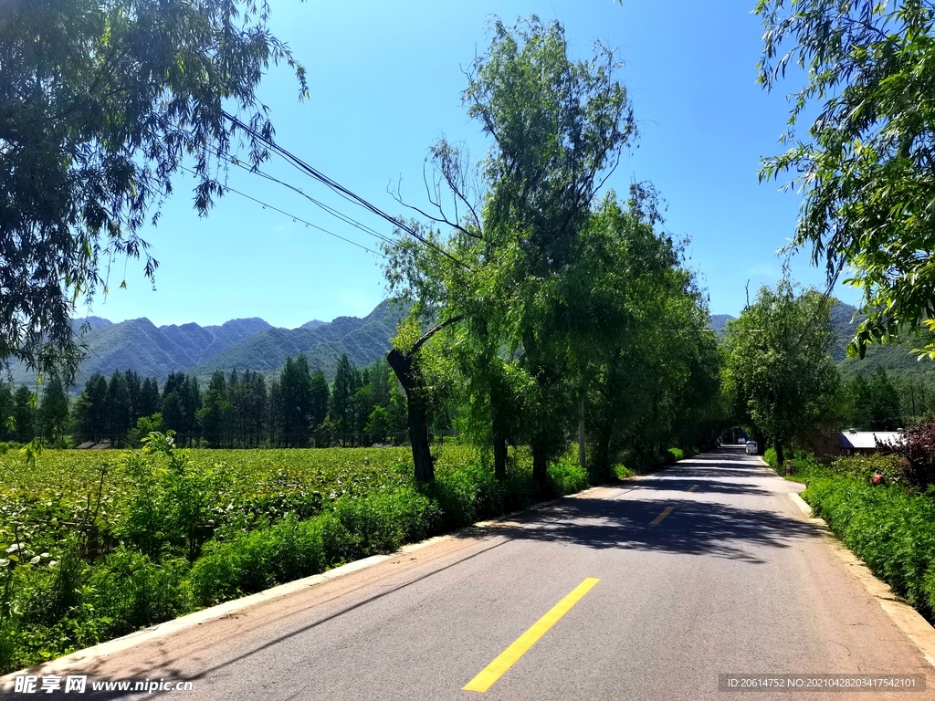 蓝天下的乡村美景