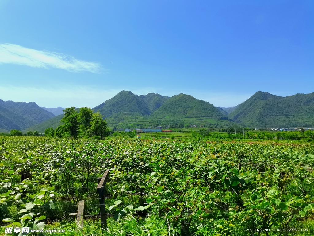 蓝天下的大山美景