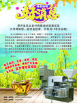 油坊 榨油 好消息 植物油
