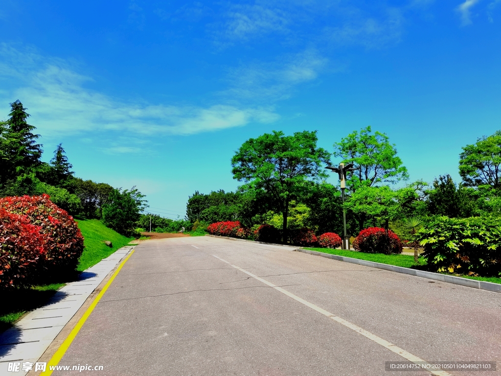 蓝天下的乡村美景