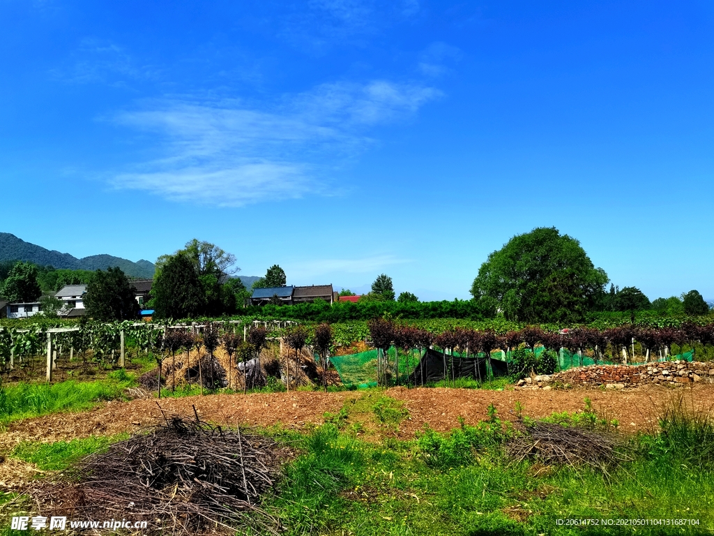 美丽的乡村风景
