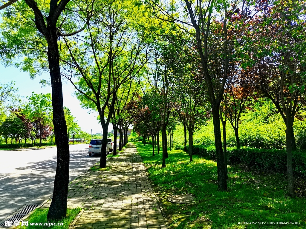 清爽的乡村道路风景