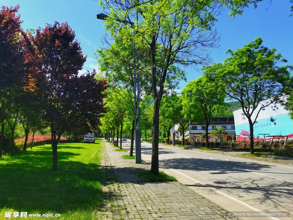 清爽的乡村道路风景