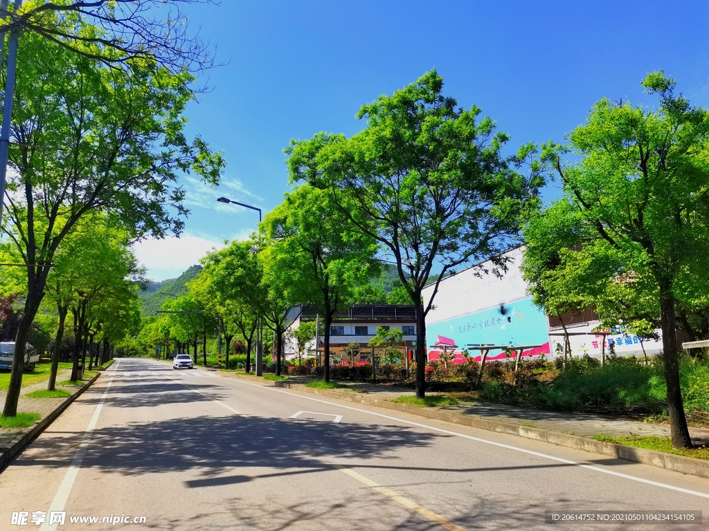 空荡荡的乡村道路