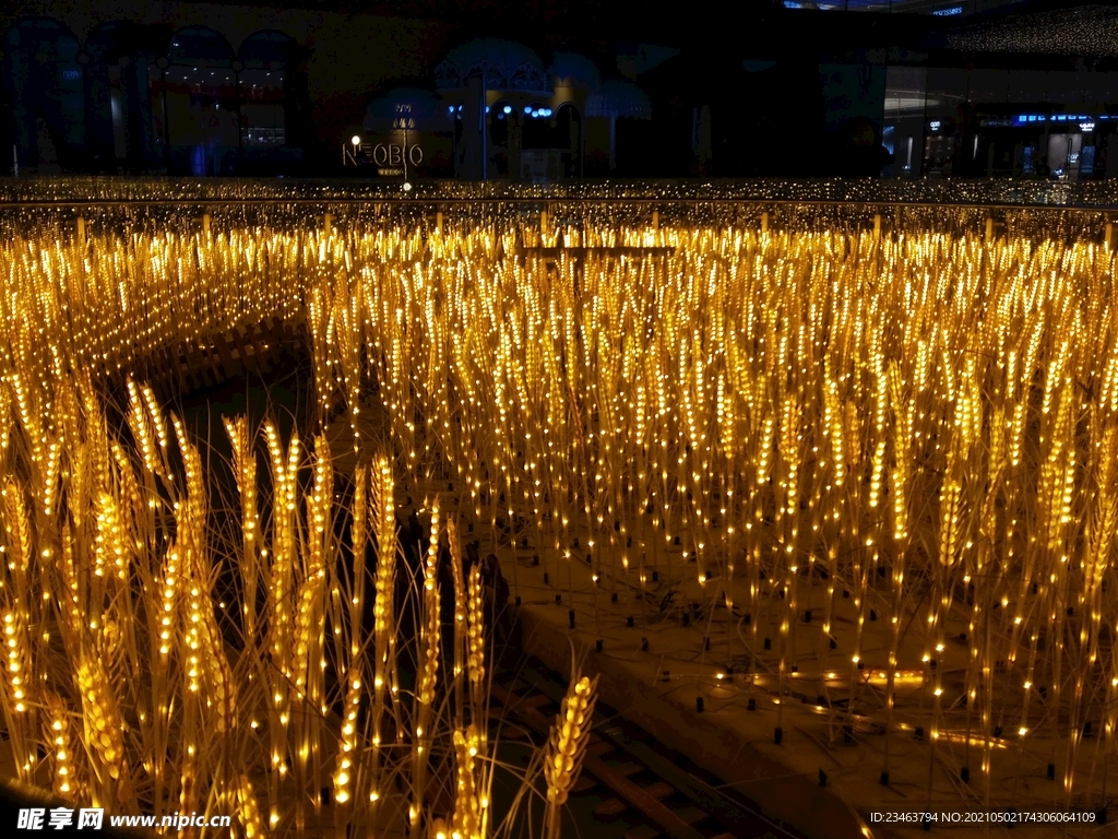 水稻稻穗灯海