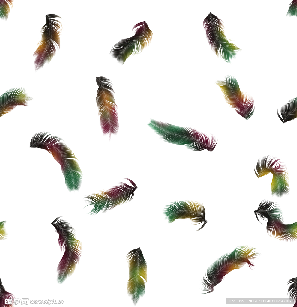  羽毛  手绘羽毛