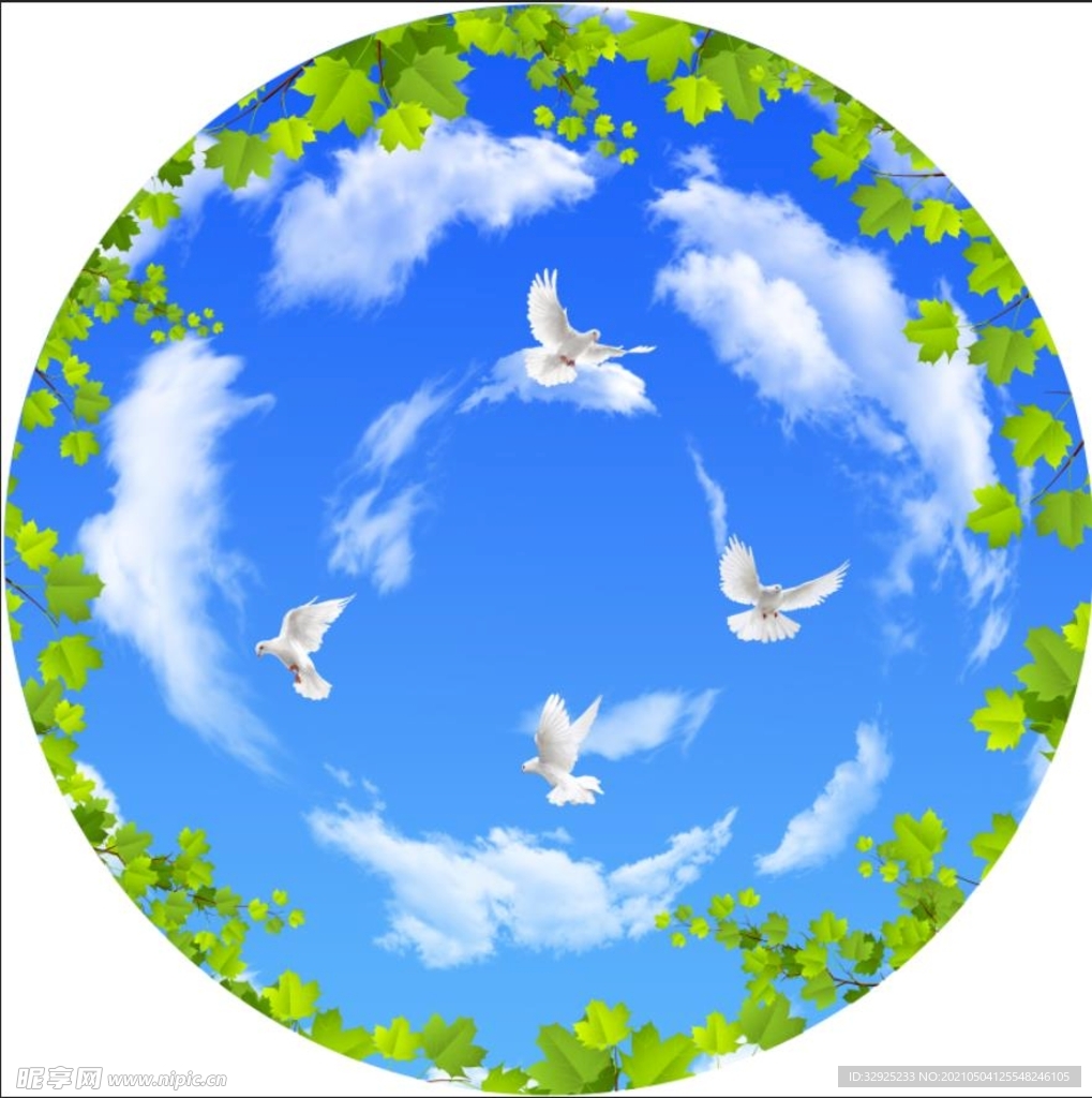 蓝天白云鸽子绿叶圆形