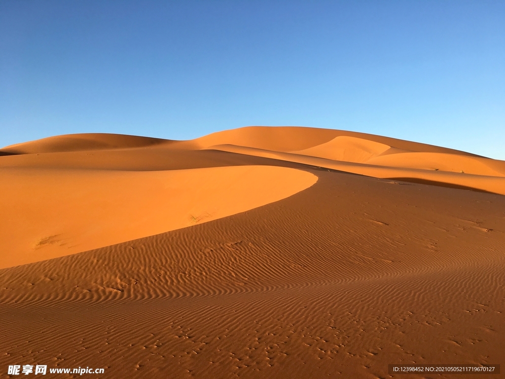 荒凉的沙漠风光
