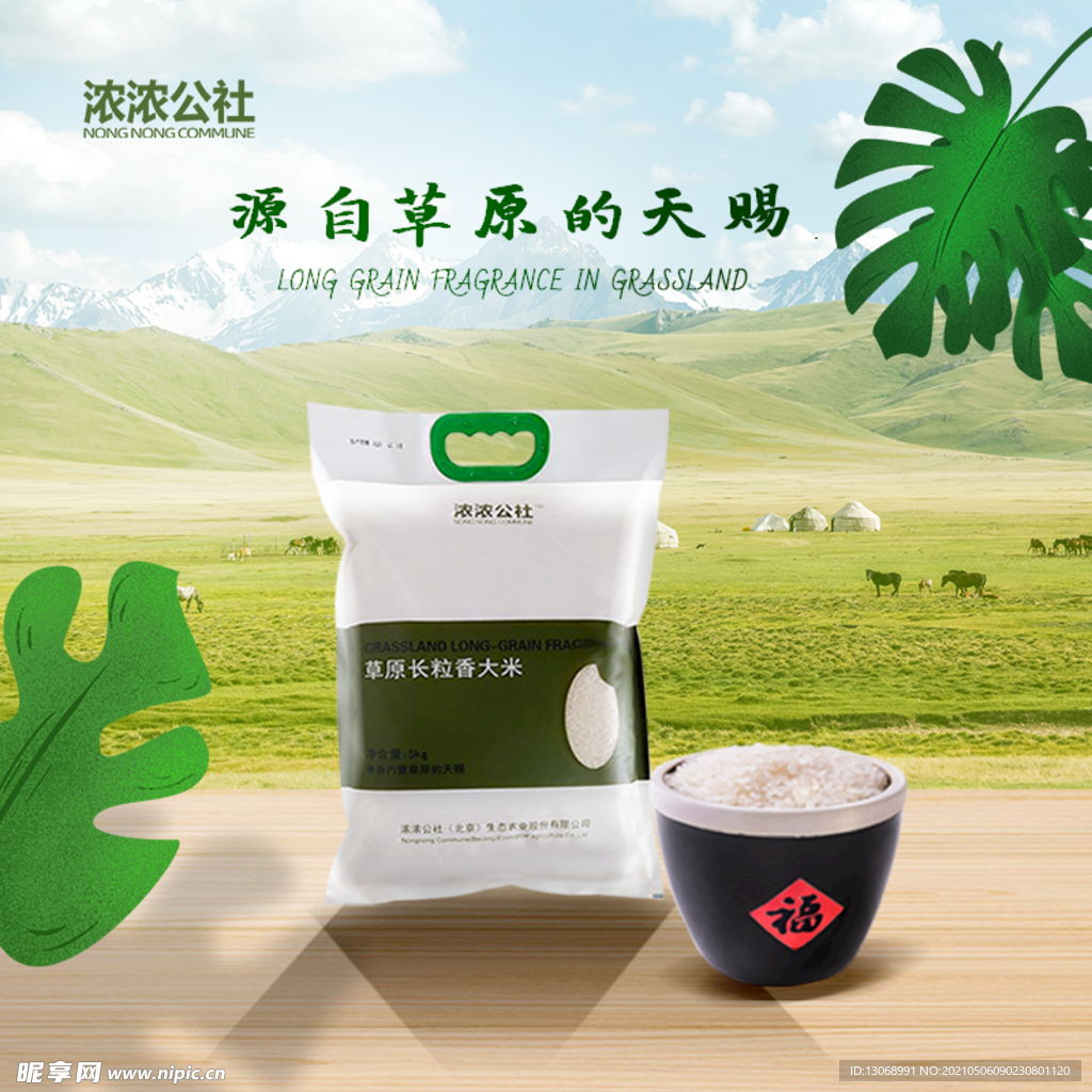 大米 五常大米 稻花香大米 