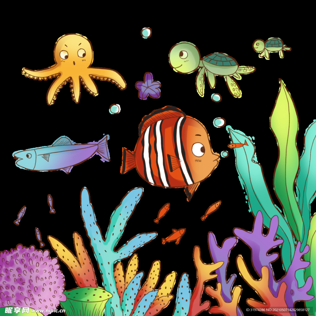 海底世界  海洋世界   鱼 