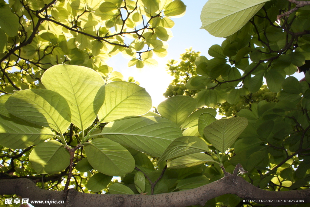 故宫 紫禁城 皇帝 北京 摄影