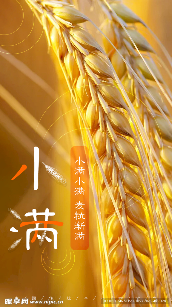 金色小清新小满海报