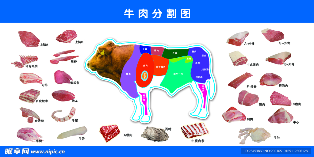 新牛肉分割图