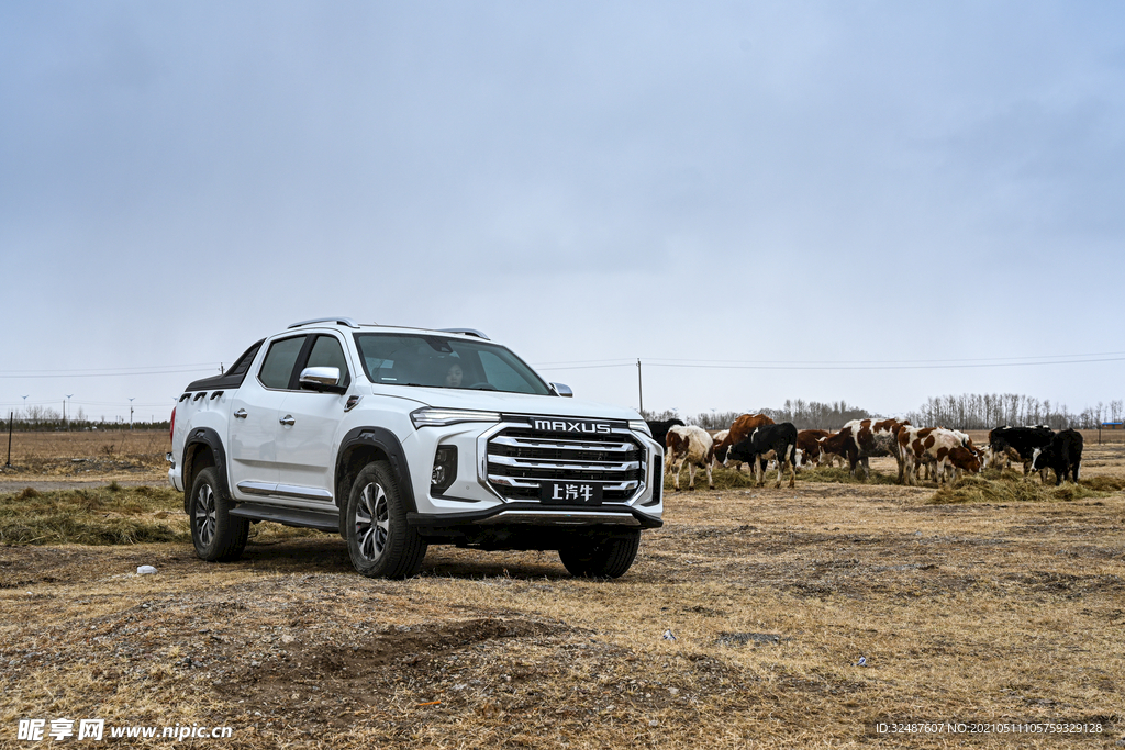 车高清摄影图片