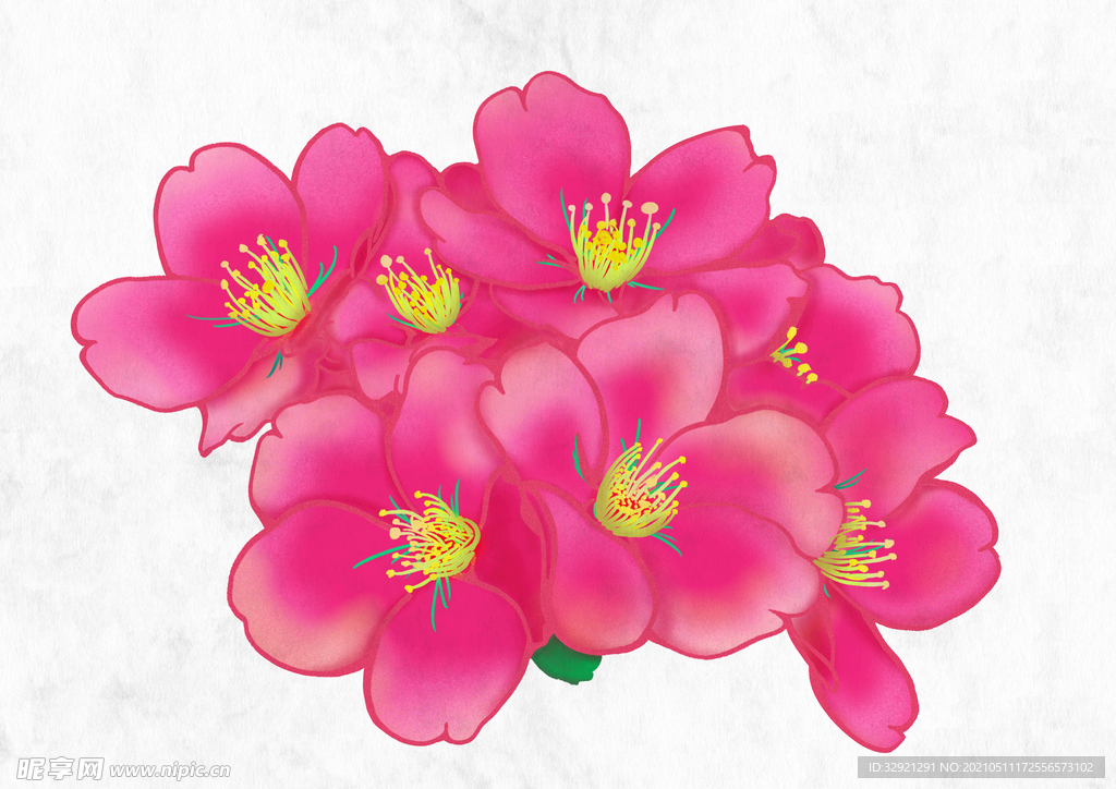 手绘植物桃花装饰图案