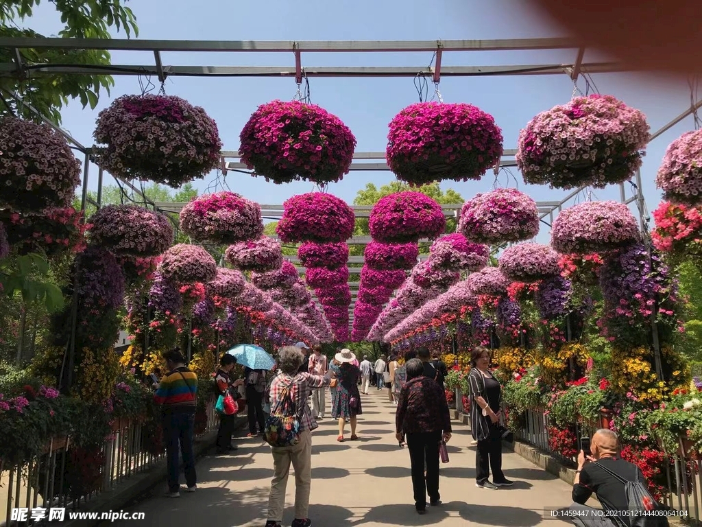 上海2021国际花展