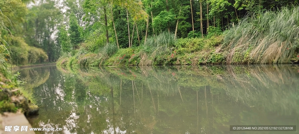 崇州观胜镇严家湾湿地