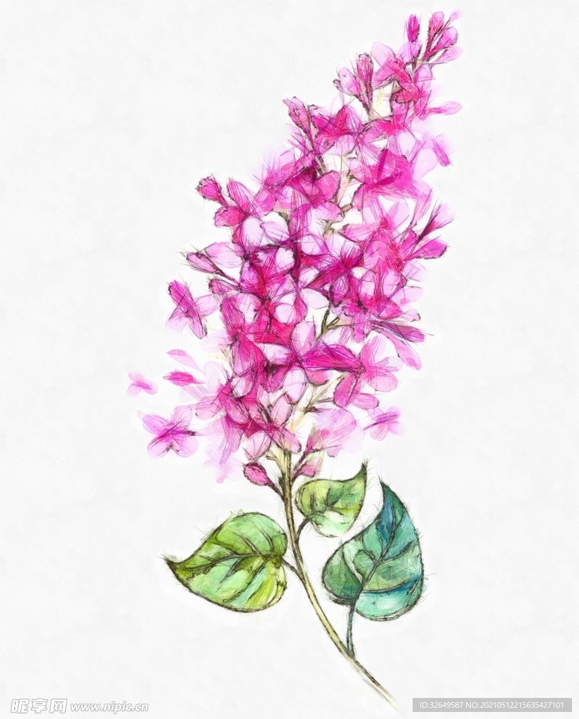 手绘花卉油画彩色线稿装饰画