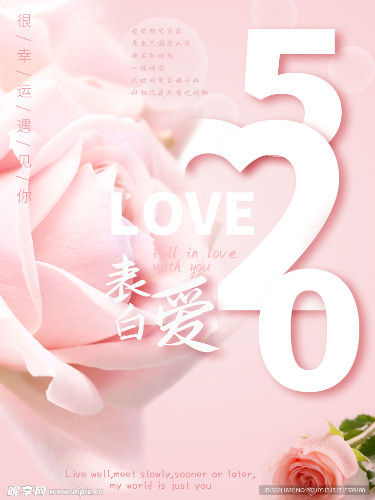 520情人节表白日海报