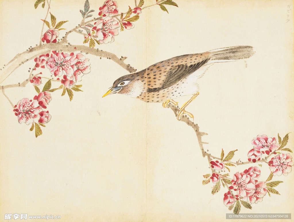 余曾三国画 百花鸟图