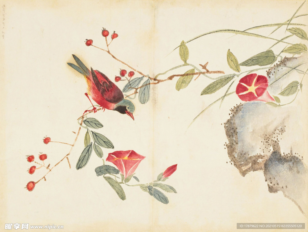 余曾三国画 百花鸟图