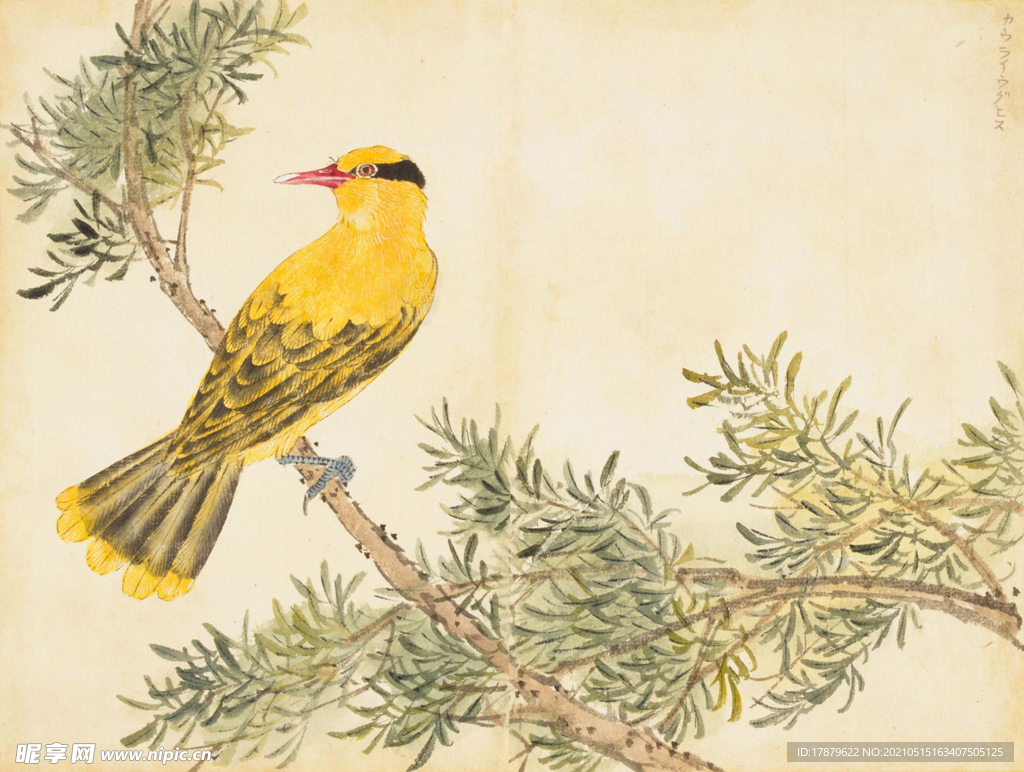 余曾三国画 百花鸟图