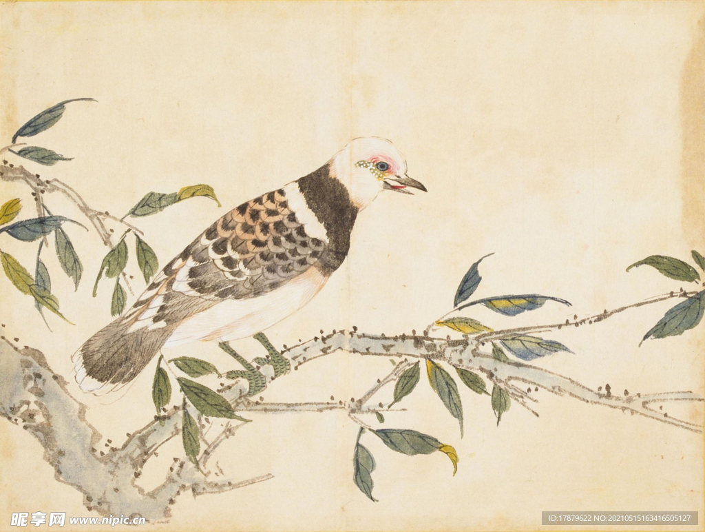 余曾三国画 百花鸟图