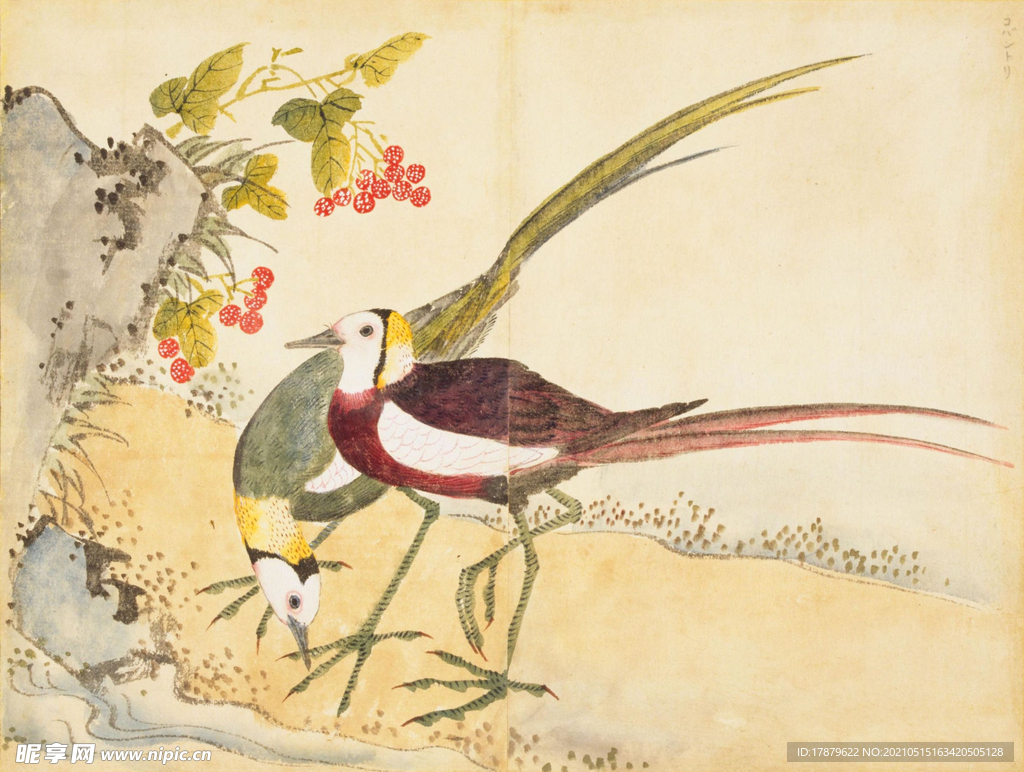 余曾三国画 百花鸟图