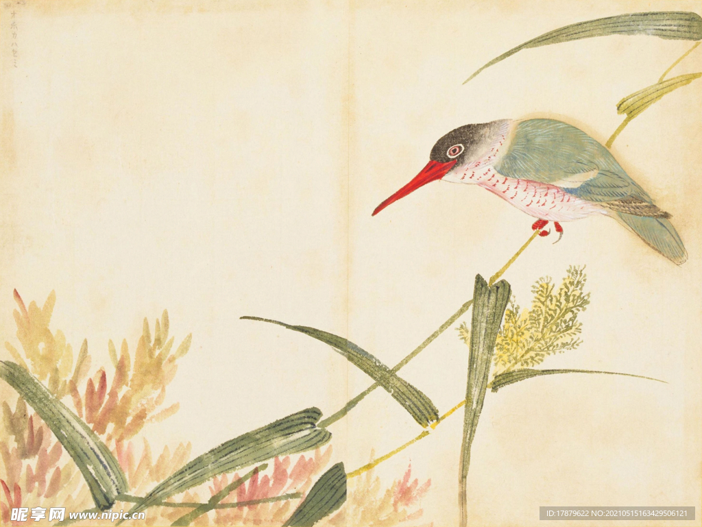 余曾三国画 百花鸟图